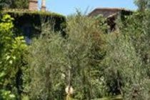 Hotel Porciglia Alta Montespertoli Exterior foto
